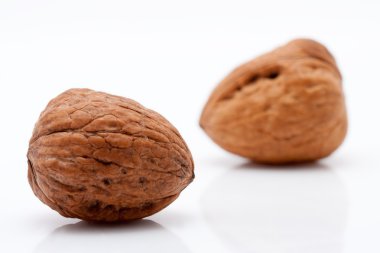 beyaz arkaplanda cevizler