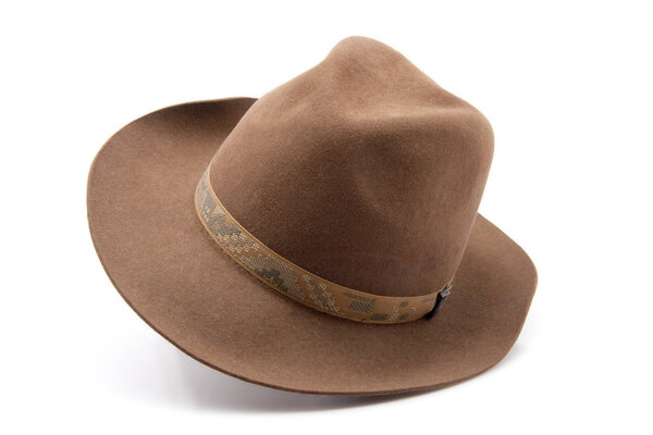 Brown fedora felthat