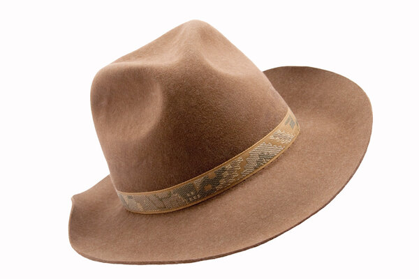 Brown fedora felthat