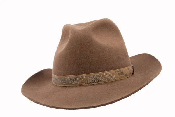 Felthat barna fedora — Stock Fotó