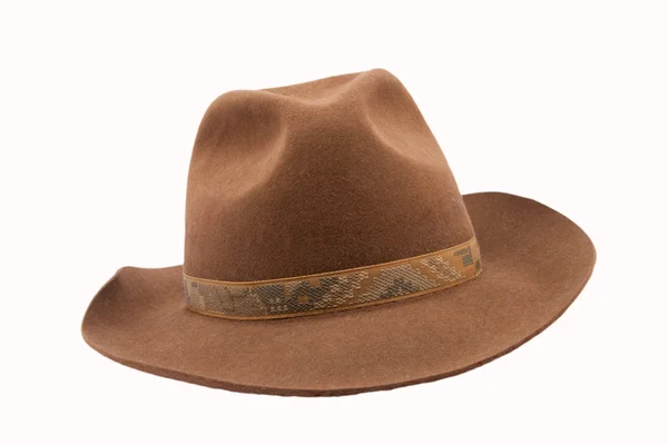 Brown fedora felthat — Stock Photo, Image