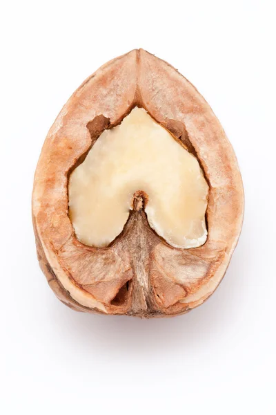 Open walnoten op witte achtergrond — Stockfoto