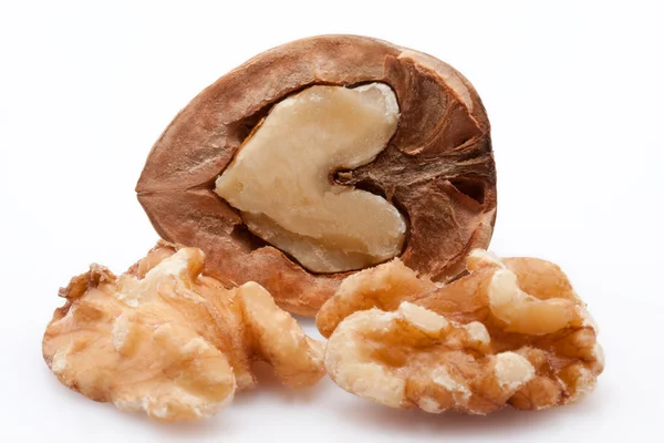 Ceviz beyaz zemin üzerine açık