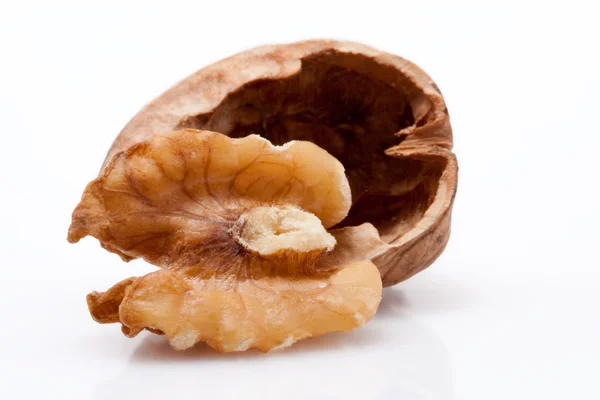 Ceviz beyaz zemin üzerine açık