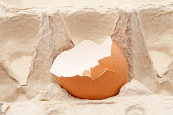 Открыть пустую оболочку яйца в транспортной коробке, изолированной на белом фоне — стоковое фото
