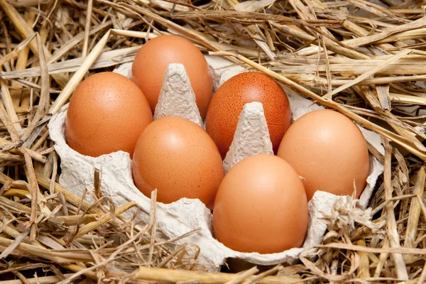 Бурые органические яйца в коробке на соломе — стоковое фото