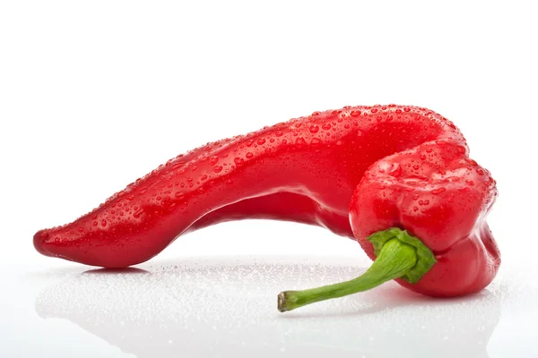 Kırmızı acı biber su ile izole üzerinde beyaz arka plan damla