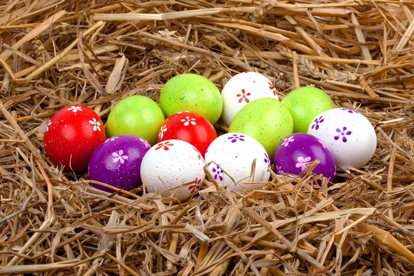 Oeufs de Pâques peints colorés cachés dans un nid de paille — Photo