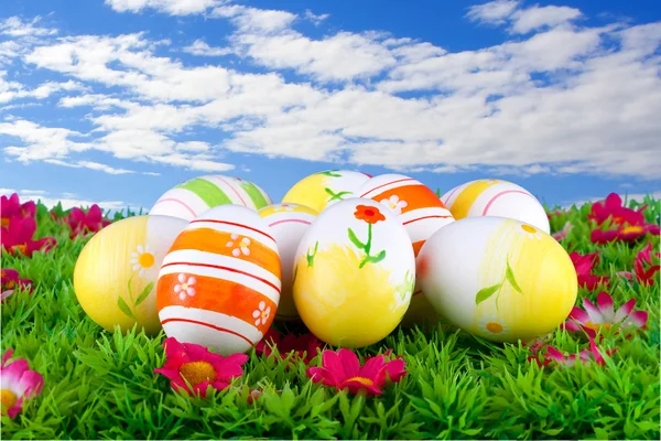 Oeufs de Pâques peints colorés situés sur une prairie avec des fleurs — Photo