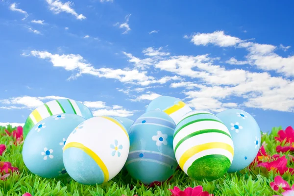 Coloridos huevos de Pascua pintados ubicados en un prado con flores — Foto de Stock