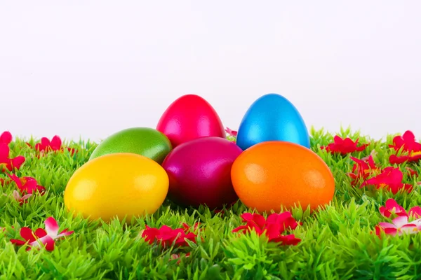 Oeufs de Pâques peints colorés situés sur une prairie avec des fleurs — Photo