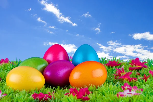 Coloridos huevos de Pascua pintados ubicados en un prado con flores —  Fotos de Stock