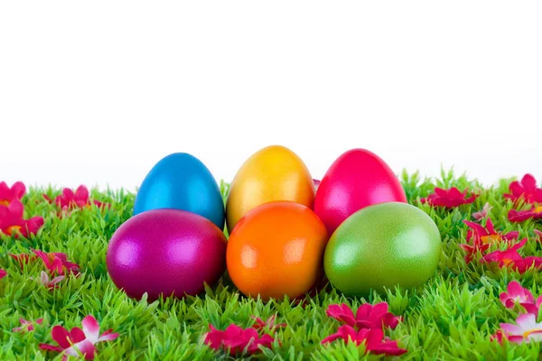 Oeufs de Pâques peints colorés situés sur une prairie avec des fleurs — Photo