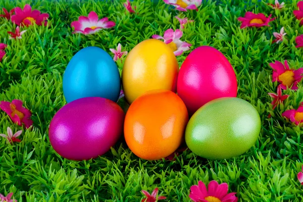 Coloridos huevos de Pascua pintados ubicados en un prado con flores —  Fotos de Stock