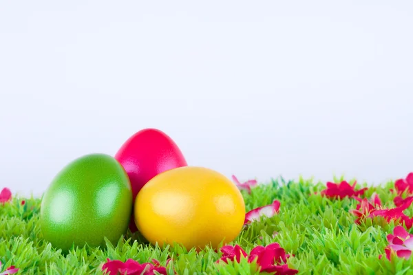 Färgglada målade påskägg som ligger på en äng med blommor — Stockfoto