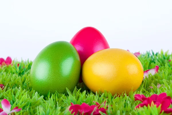 Coloridos huevos de Pascua pintados ubicados en un prado con flores —  Fotos de Stock