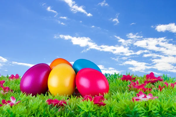 Oeufs de Pâques peints colorés situés sur une prairie avec des fleurs — Photo