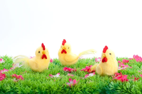 Tres pollos amarillos aislados en un prado verde con flores sobre fondo blanco —  Fotos de Stock