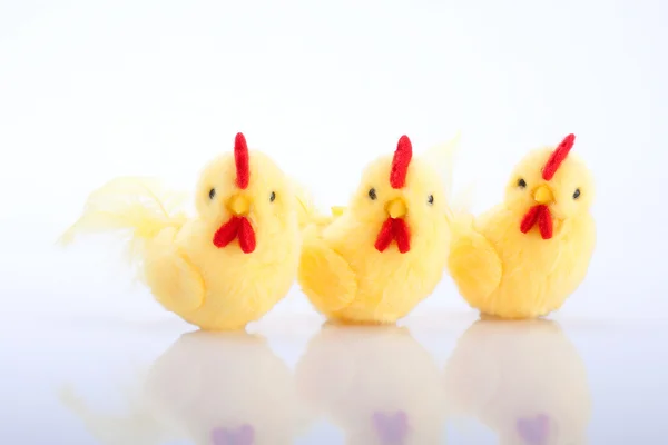 Tres polluelos amarillos en fila aislados sobre fondo blanco —  Fotos de Stock