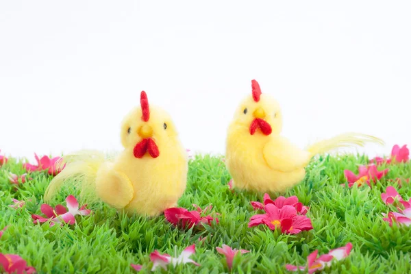 Dos pollos amarillos aislados en un prado verde con flores sobre fondo blanco —  Fotos de Stock
