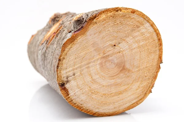 Single piece of firewood isolated on white background — Stock Photo, Image