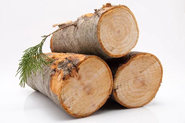 Beyaz arka plan üzerinde izole odun yığını