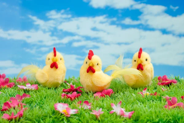 Coniglietto di Pasqua fatto di cioccolato con uovo di Pasqua su un prato verde con fiori davanti a un cielo blu — Foto Stock