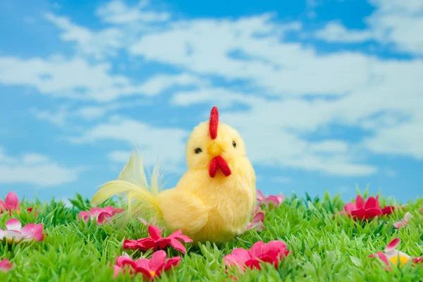 Conejo de Pascua hecho de chocolate con huevo de Pascua en un prado verde con flores frente a un cielo azul —  Fotos de Stock
