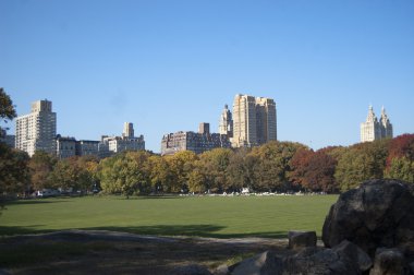 Central park