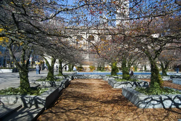 Autumn in Chicago — Stock Photo, Image