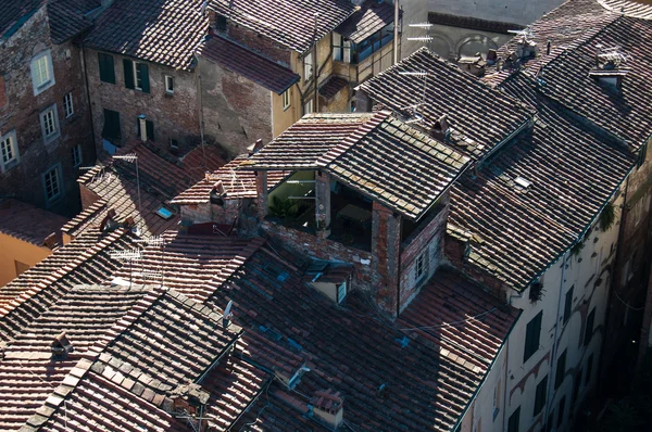 Lucca, Italia — Foto Stock