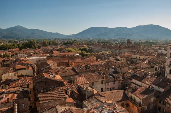 Lucca, Italien — Stockfoto