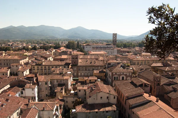Lucca, italien — Stockfoto