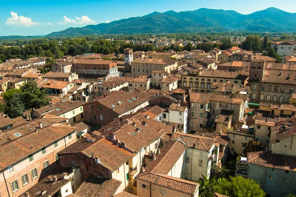 Lucca, italien — Stockfoto