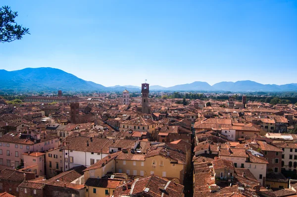 Lucca, italien — Stockfoto