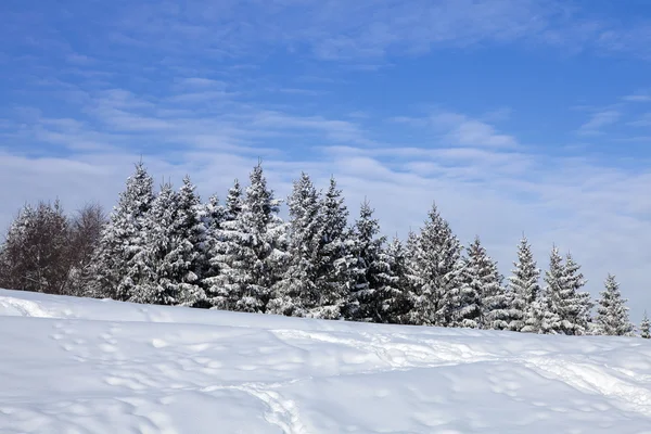 Daha önce kar — Stok fotoğraf