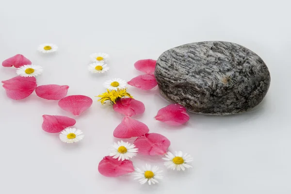 Piedras de las flores de pétalos — Stockfoto