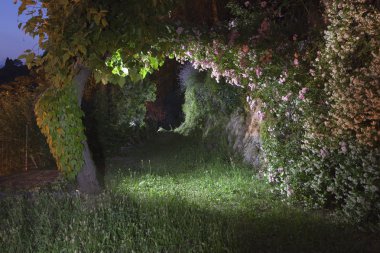 gece Bahçe