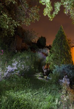 Garden at night clipart