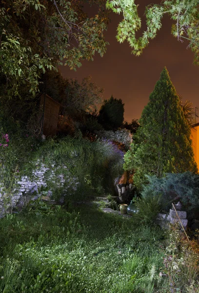 Giardino di notte — Foto Stock