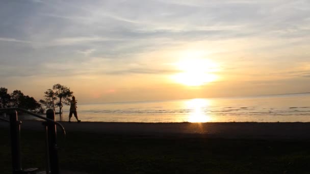 Timelaps mensen joggen — Stockvideo