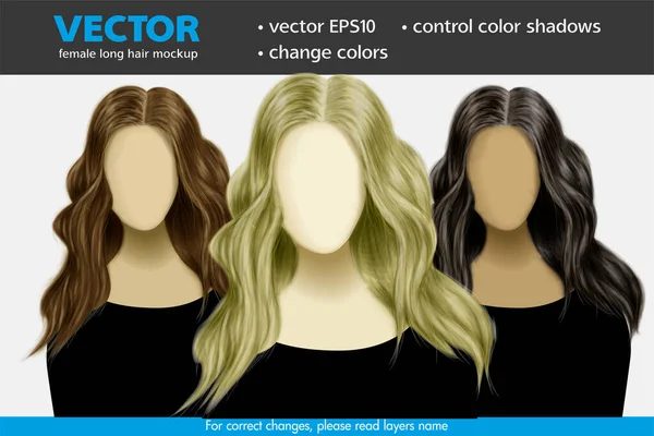 Changer Base Couleur Les Ombres Couleur Femme Bouclée Cheveux Longs — Image vectorielle