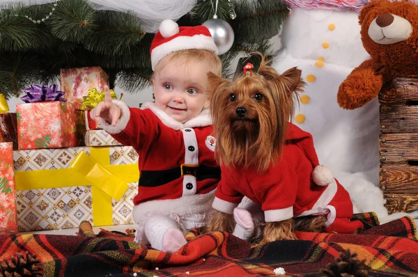 어린 소녀와 크리스마스에 개 스톡 사진