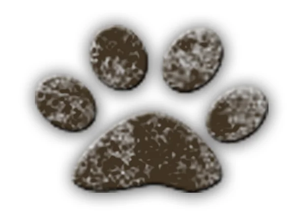 Paw print — Stock Photo, Image