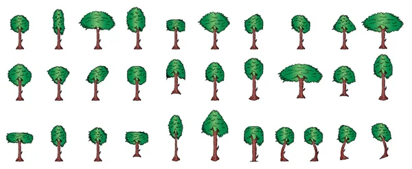Ensemble d'arbres vectoriels — Image vectorielle