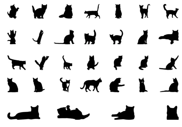 kedi model siluet vektör