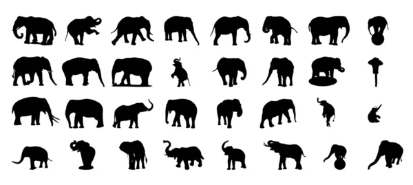 Conjunto de vector de silueta de elefante — Vector de stock