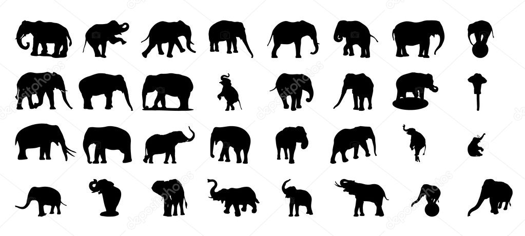Elephant silhouette vector set