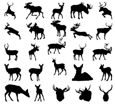Moose, geyiği, Ren geyiği siluet vektör