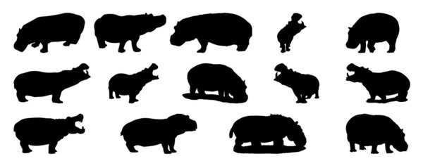 Silhouette of hippopotamus vector set